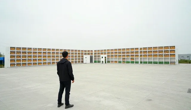 仓储保鲜技术服务选型中产品品质的核心考量