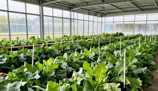 农产品选型中的使用场景与维护难题解析